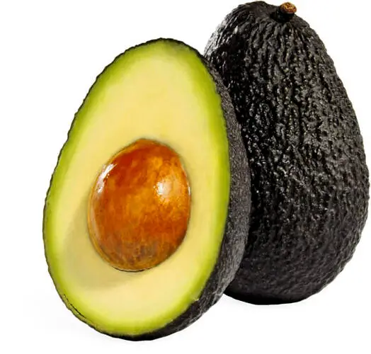 avocat