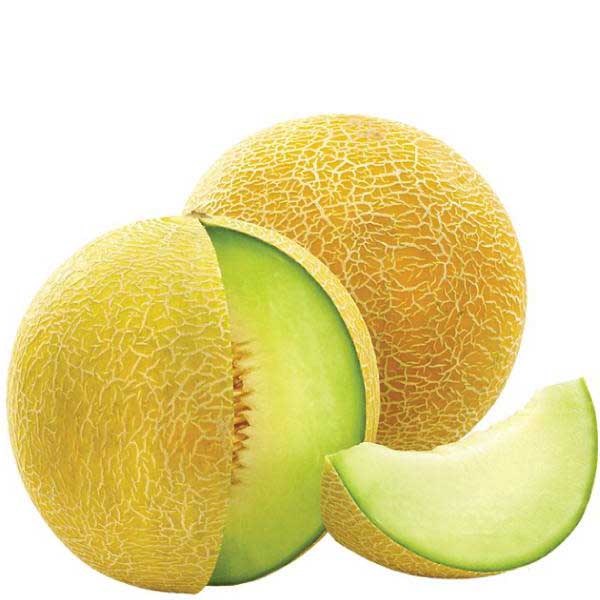 melon galia