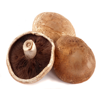 champignon portobello