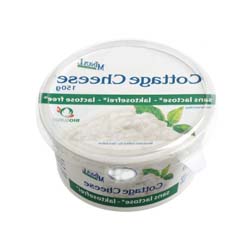 cottage cheese sans lactose