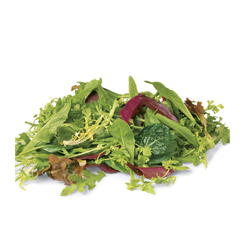 salade mesclun