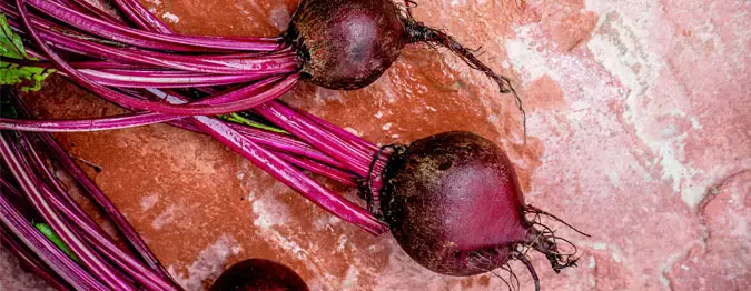 Soupe de betteraves