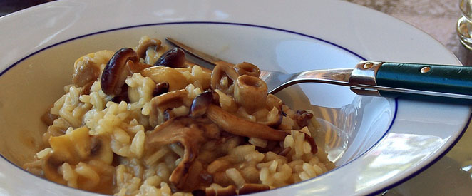 Risotto aux champignons