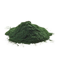 spiruline