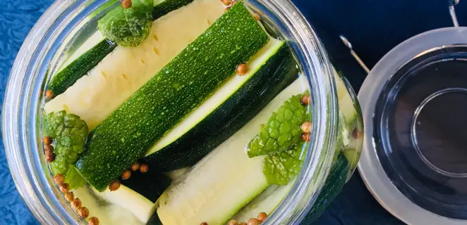 Top 5 des meilleures recettes de courgettes