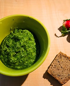 Pesto de fanes de radis (recette zéro gaspi)