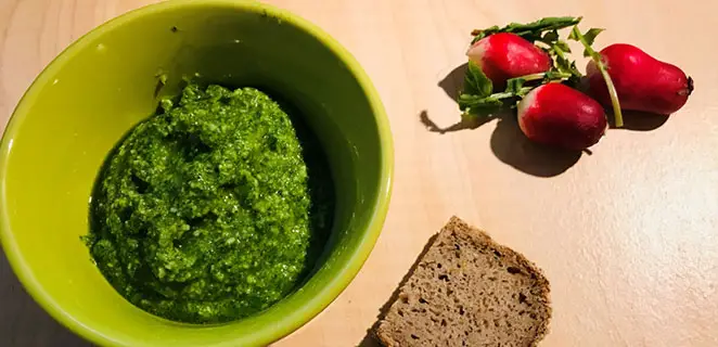 Pesto de fanes de radis (recette zéro gaspi)